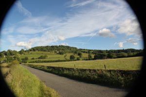 Sheepwalk Wood